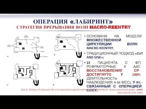 ОПЕРАЦИЯ «ЛАБИРИНТ» СТРАТЕГИЯ ПРЕРЫВАНИЯ ВОЛН MACRO-REENTRY ОСНОВАНА НА МОДЕЛИ МНОЖЕСТВЕННОЙ