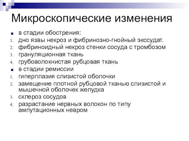 в стадии обострения: дно язвы некроз и фибринозно-гнойный экссудат. фибриноидный