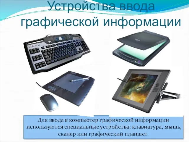 Устройства ввода графической информации Для ввода в компьютер графической информации используются специальные устройства: