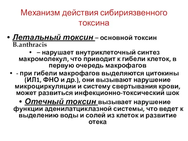 Механизм действия сибириязвенного токсина Летальный токсин – основной токсин B.anthracis