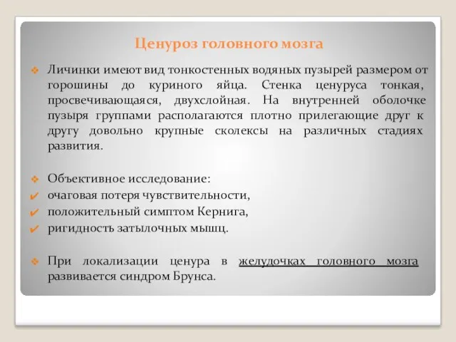 Ценуроз головного мозга Личинки имеют вид тонкостенных водяных пузырей размером