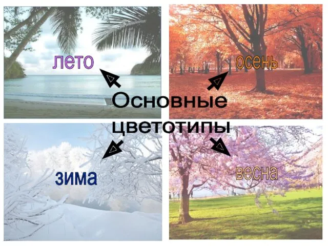 Основные цветотипы зима лето осень весна