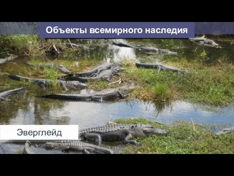 Объекты всемирного наследия Эверглейдс