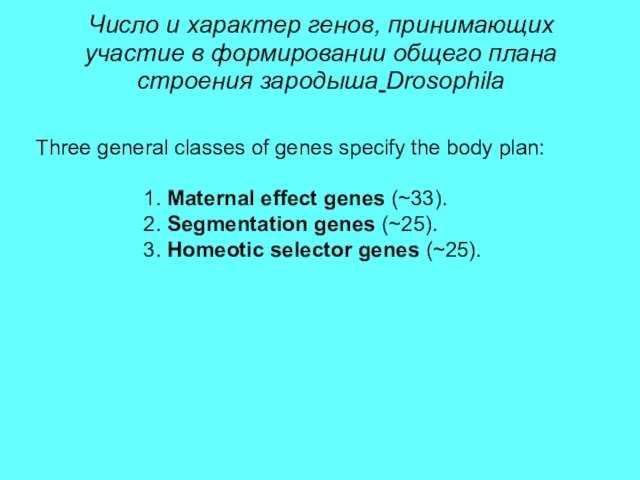 Three general classes of genes specify the body plan: 1.