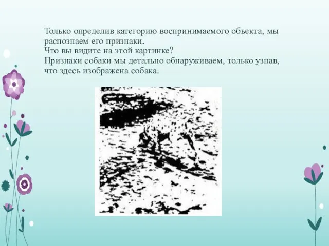 Только определив категорию воспринимаемого объекта, мы распознаем его признаки. Что