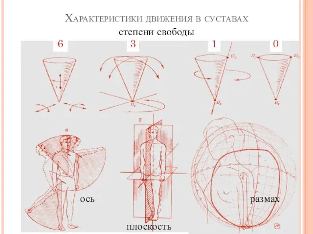 Характеристики движения в суставах 6 степени свободы 3 0 ось плоскость размах 1