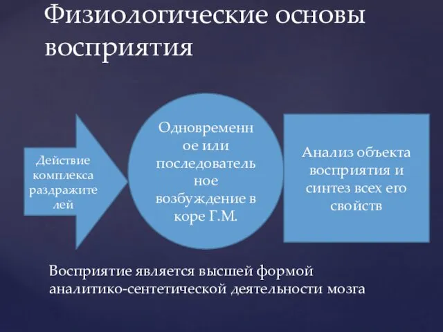 Физиологические основы восприятия Действие комплекса раздражителей Одновременное или последовательное возбуждение