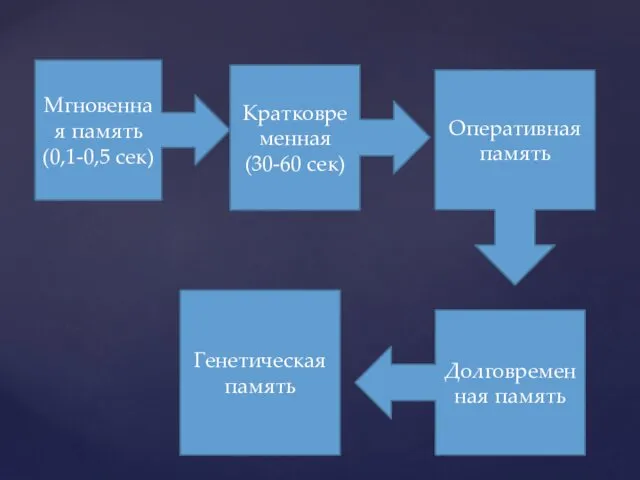 Мгновенная память (0,1-0,5 сек) Кратковременная (30-60 сек) Оперативная память Долговременная память Генетическая память