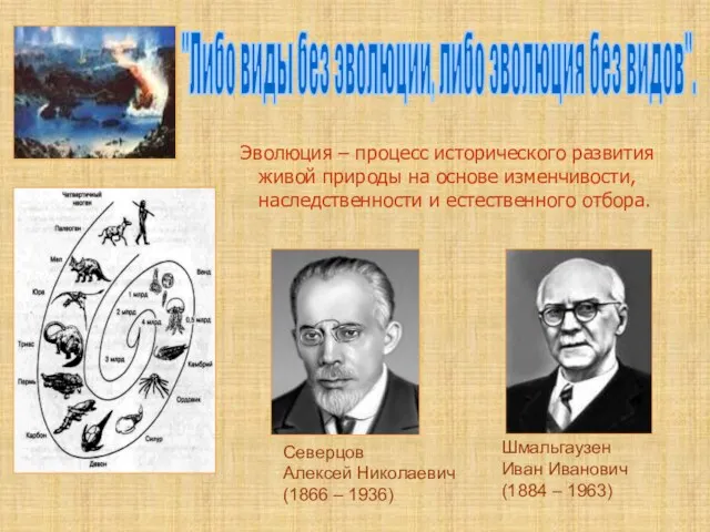 Эволюция – процесс исторического развития живой природы на основе изменчивости,