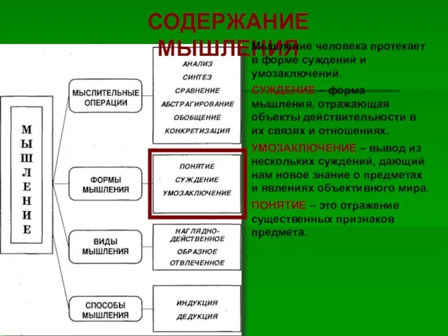 СОДЕРЖАНИЕ МЫШЛЕНИЯ Мышление человека протекает в форме суждений и умозаключений.