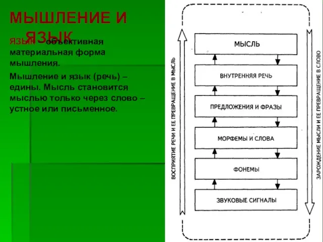 МЫШЛЕНИЕ И ЯЗЫК ЯЗЫК – объективная материальная форма мышления. Мышление