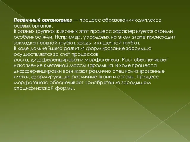 Первичный органогенез — процесс образования комплекса осевых органов. В разных