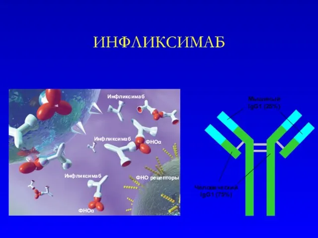 ИНФЛИКСИМАБ