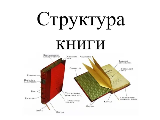 Структура книги
