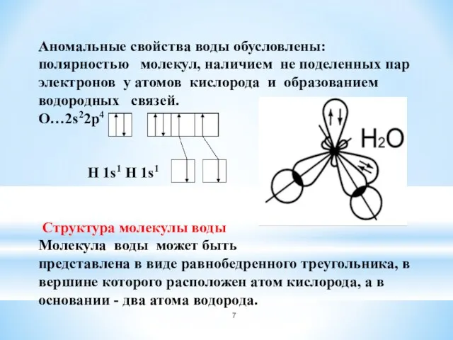 Аномальные свойства воды обусловлены: полярностью молекул, наличием не поделенных пар