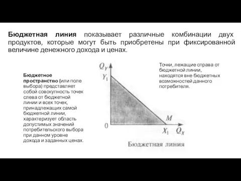 Бюджетная линия показывает различные комбинации двух продуктов, которые могут быть