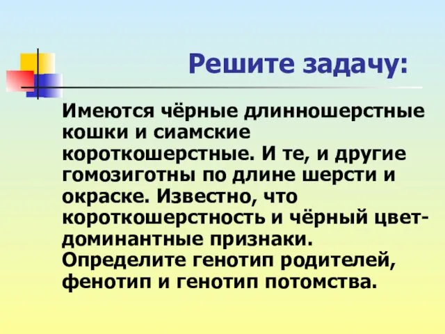 Решите задачу: Имеются чёрные длинношерстные кошки и сиамские короткошерстные. И