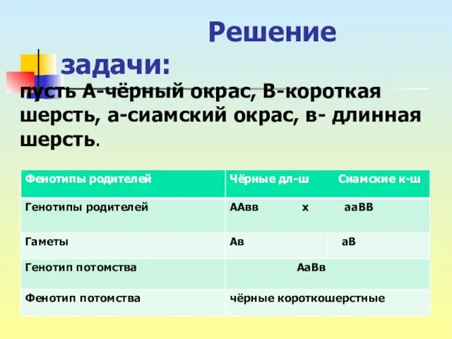 Решение задачи: пусть А-чёрный окрас, В-короткая шерсть, а-сиамский окрас, в- длинная шерсть.