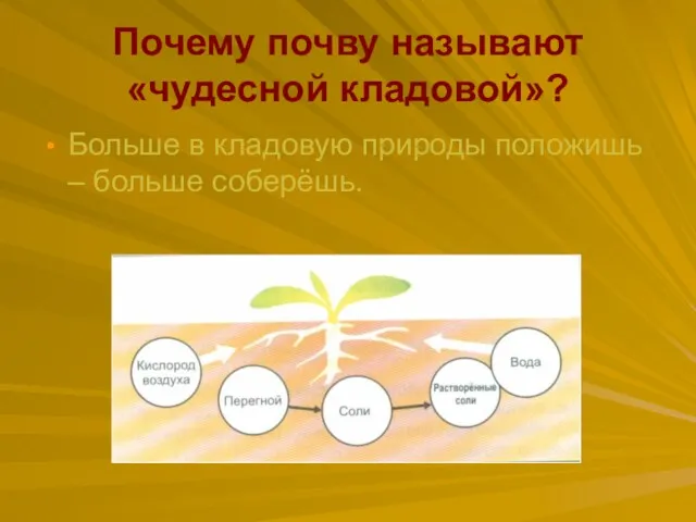 Почему почву называют «чудесной кладовой»? Больше в кладовую природы положишь – больше соберёшь.