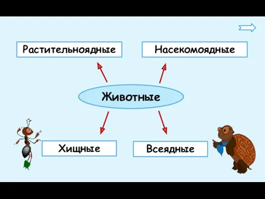 Животные Растительноядные Насекомоядные Хищные Всеядные