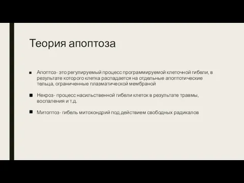 Теория апоптоза Апоптоз- это регулируемый процесс программируемой клеточной гибели, в результате которого клетка