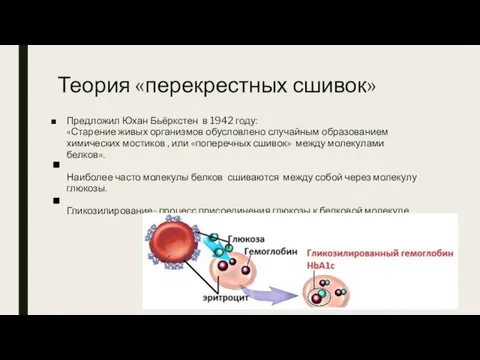 Теория «перекрестных сшивок» Предложил Юхан Бьёркстен в 1942 году: «Старение живых организмов обусловлено