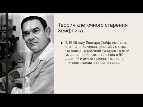 Теория клеточного старения Хейфлика В 1956 году Леонард Хейфлик открыл ограничение числа делений