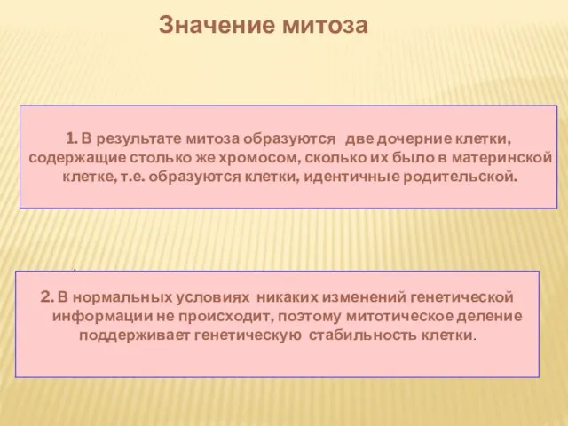 Значение митоза . . 1. В результате митоза образуются две