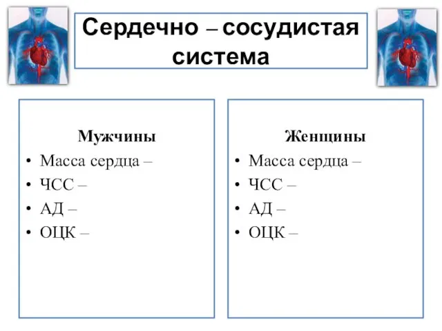 Сердечно – сосудистая система Женщины Масса сердца – ЧСС – АД – ОЦК