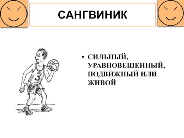 САНГВИНИК СИЛЬНЫЙ, УРАВНОВЕШЕННЫЙ, ПОДВИЖНЫЙ ИЛИ ЖИВОЙ