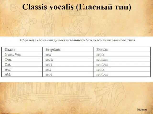 Classis vocalis (Гласный тип)