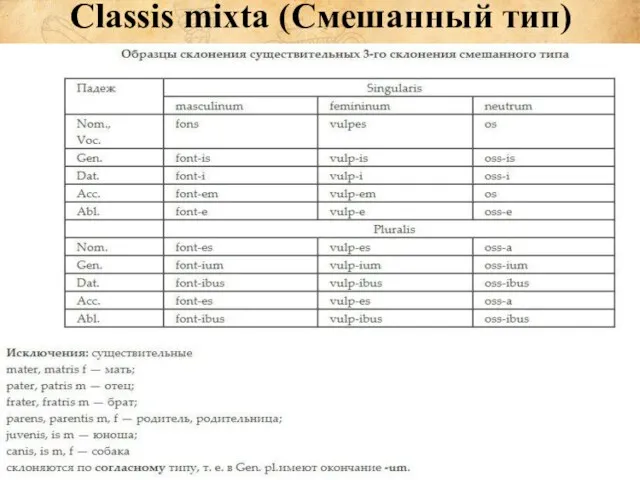 Classis mixta (Смешанный тип)