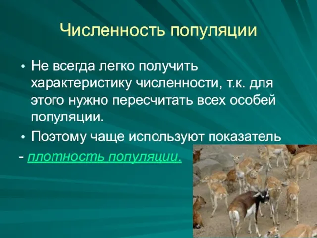 Численность популяции Не всегда легко получить характеристику численности, т.к. для