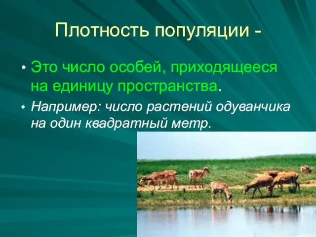 Плотность популяции - Это число особей, приходящееся на единицу пространства.