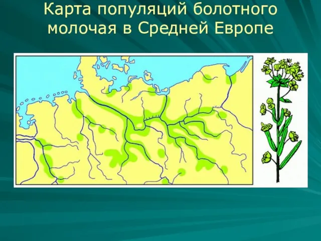 Карта популяций болотного молочая в Средней Европе