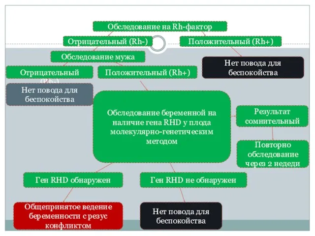 Обследование на Rh-фактор Отрицательный (Rh-) Положительный (Rh+) Обследование мужа Отрицательный (Rh-) Положительный (Rh+)