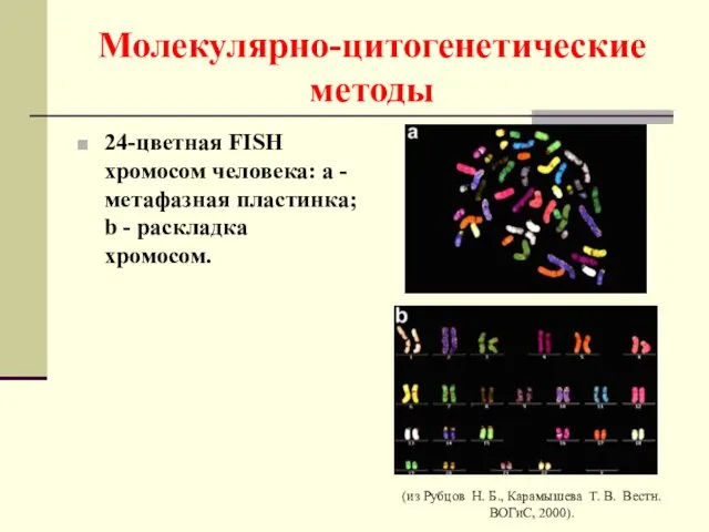 Молекулярно-цитогенетические методы 24-цветная FISH хромосом человека: a - метафазная пластинка;