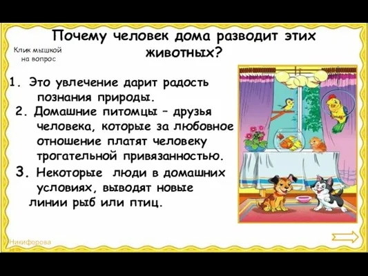 Это увлечение дарит радость познания природы. 2. Домашние питомцы –