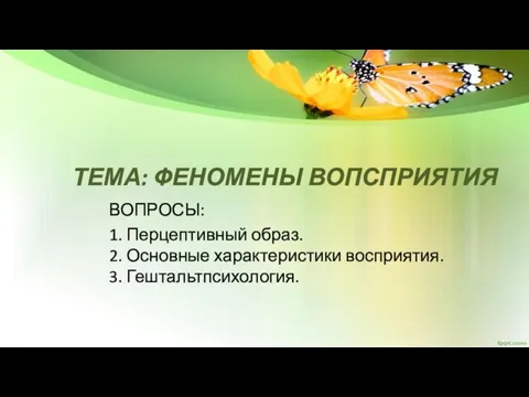 Феномены восприятия