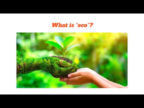 What is “eco”?