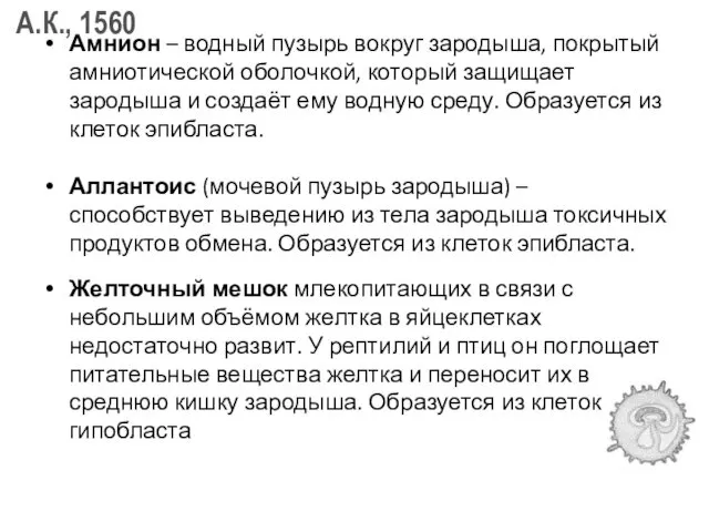 Амнион – водный пузырь вокруг зародыша, покрытый амниотической оболочкой, который защищает зародыша и