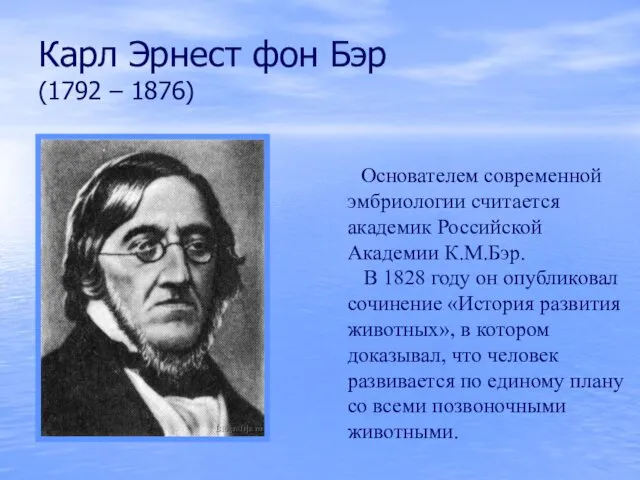 Карл Эрнест фон Бэр (1792 – 1876) Основателем современной эмбриологии считается академик Российской