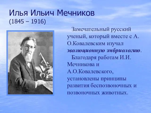 Илья Ильич Мечников (1845 – 1916) Замечательный русский ученый, который вместе с А.О.Ковалевским