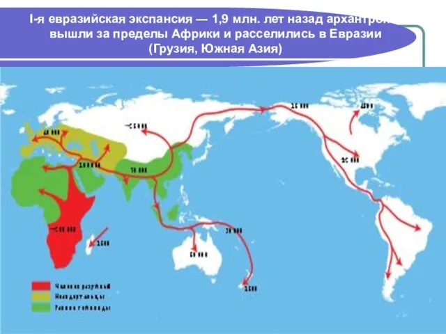 І-я евразийская экспансия ― 1,9 млн. лет назад архантропы вышли