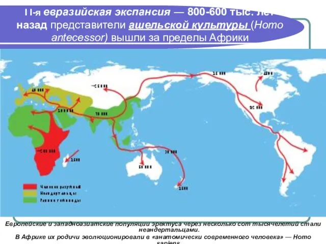 І І-я евразийская экспансия ― 800-600 тыс. лет назад представители