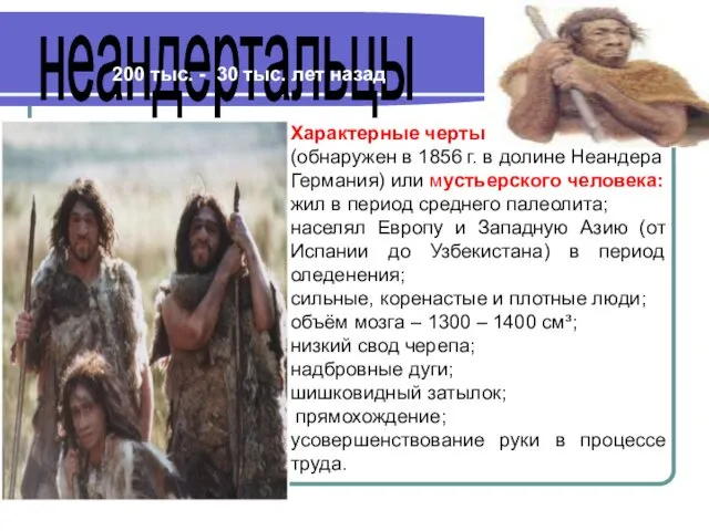неандертальцы Характерные черты (обнаружен в 1856 г. в долине Неандера