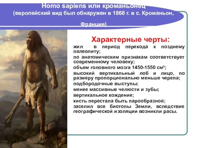 Homo sapiens или кроманьонец (европейский вид был обнаружен в 1868