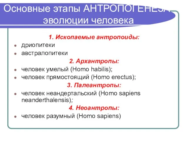 Основные этапы АНТРОПОГЕНЕЗА - эволюции человека 1. Ископаемые антропоиды: дриопитеки