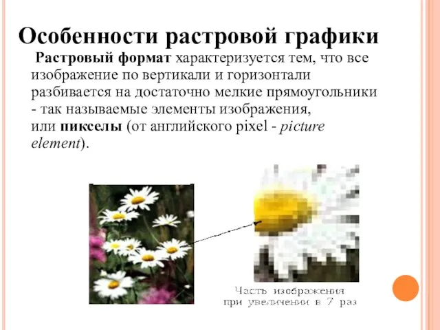 Особенности растровой графики Растровый формат характеризуется тем, что все изображение