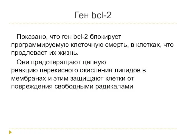 Ген bcl-2 Показано, что ген bcl-2 блокирует программируемую клеточную смерть,